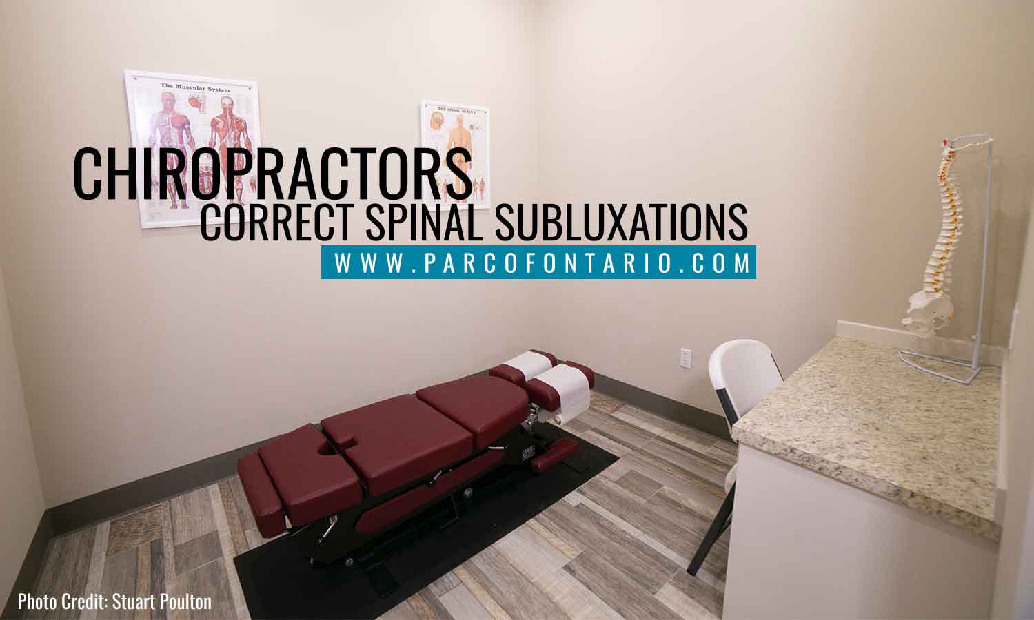 Chiropractors-correct-spinal-subluxations