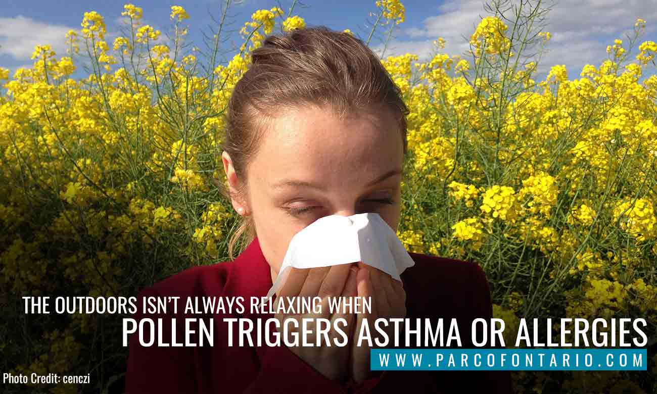 Managing Asthma Through Alternative Therapies