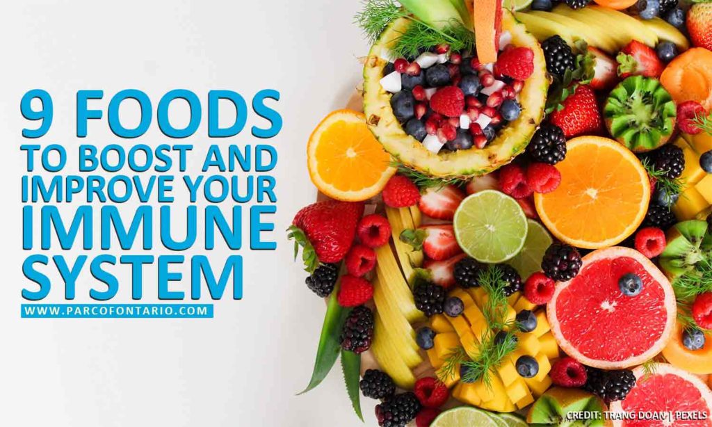 9 Foods to Boost and Improve Your Immune System | The Physiotherapy and ...