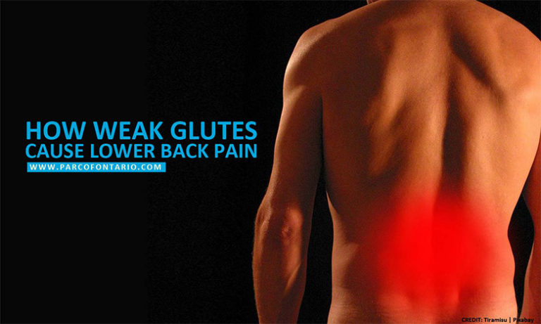 how-weak-glutes-cause-lower-back-pain-the-physiotherapy-and