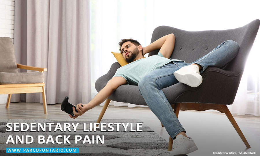 Back pain due to sedentary work: causes and tips - Dorsoo