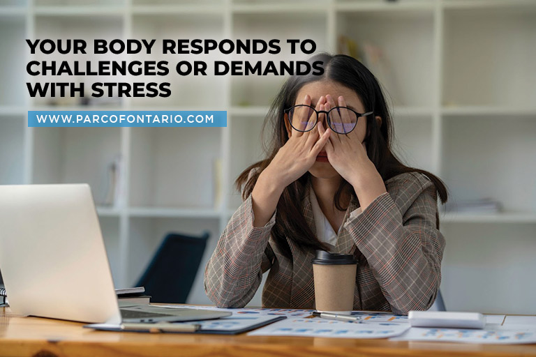 Your body responds to challenges or demands with stress