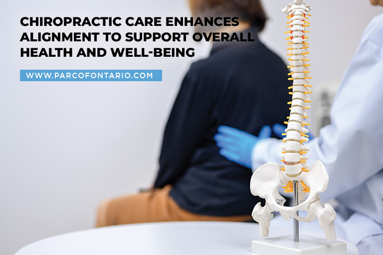 Chiropractic care enhances alignment to support overall health and well-being