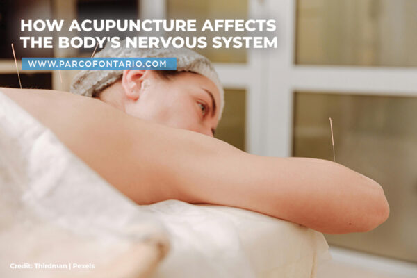 How-Acupuncture-Affects-the-Body's-Nervous-System