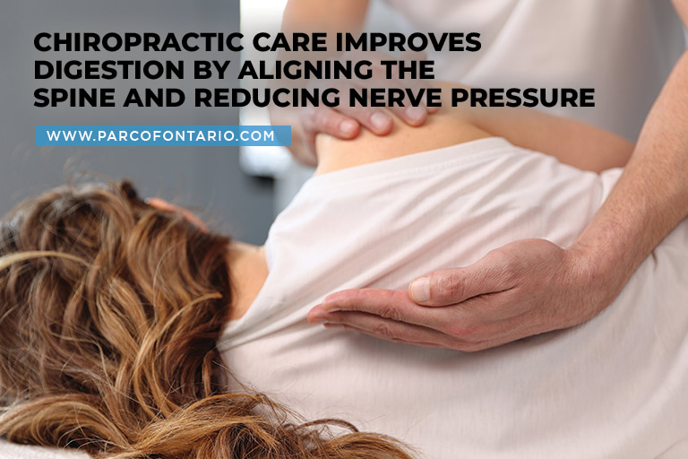 Chiropractic-care-improves-digestion-by-aligning-the-spine-and-reducing-nerve-pressure